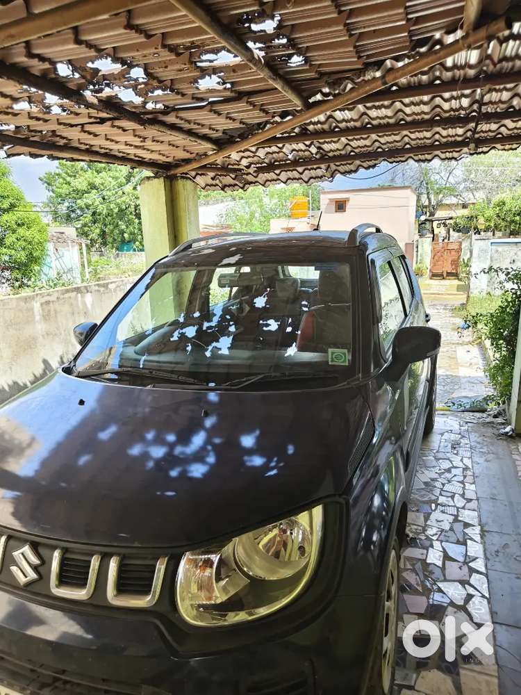 Maruti Suzuki Ignis Petrol Manual 2024