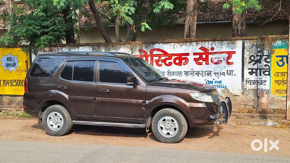 Safari Storme