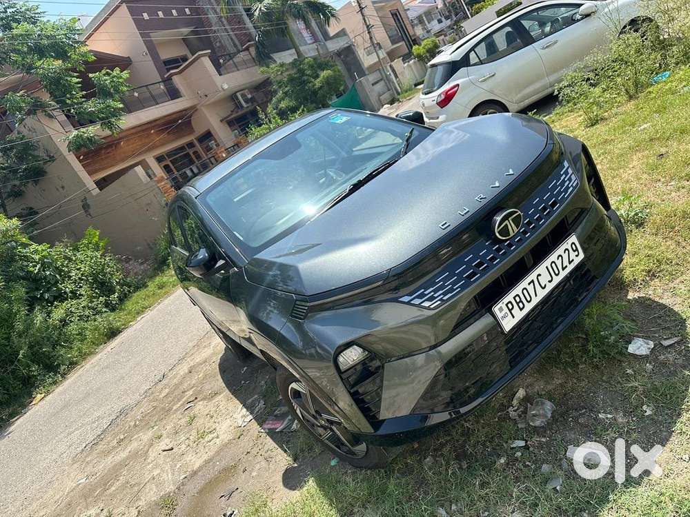 Tata Curvv 2025 Petrol Well Maintained