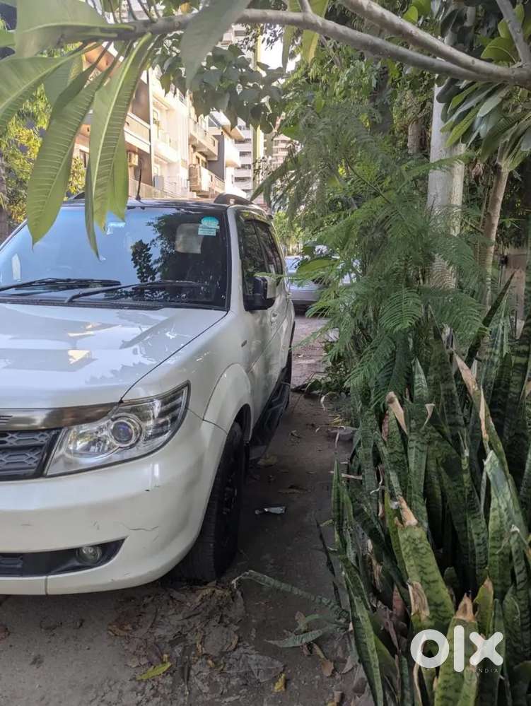 Tata Safari Storme 2016 Diesel Well Maintained