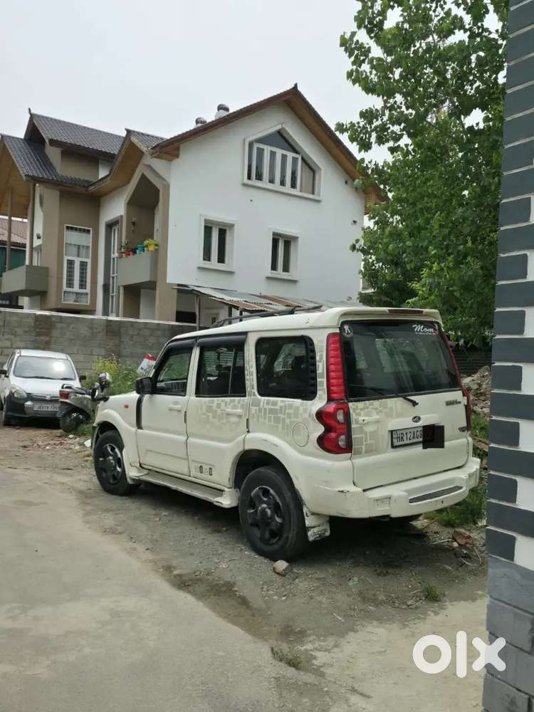 Scorpio Mhawk Talking Kashmiri Owner