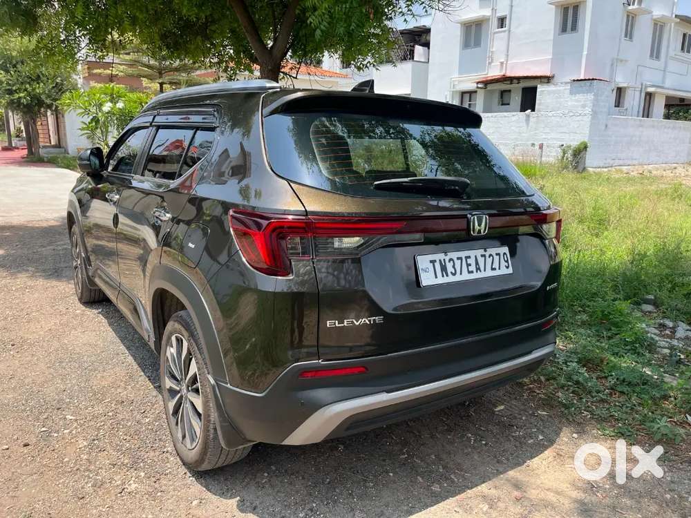 2025 Elevate Zx Automatic