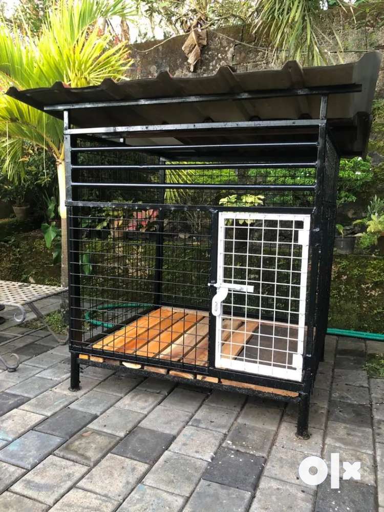 Dog cage in hotsell olx