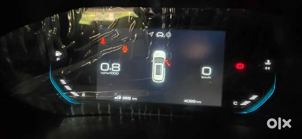 Mg Hector 2025 Petrol 4000 Km Driven
