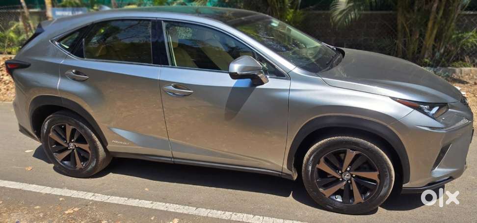 Lexus Nx Lexus-nx-300h-luxury, 2019, Petrol