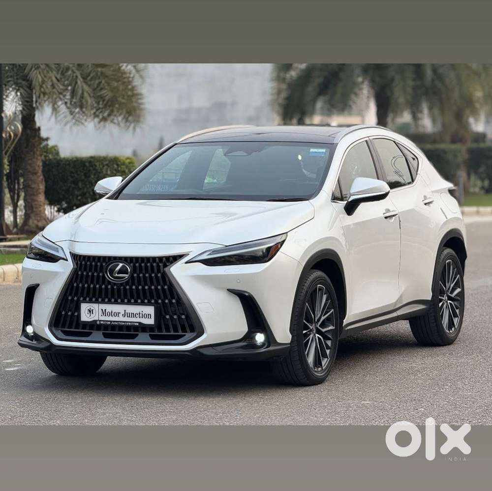 Lexus Nx 350h Luxury, 2024, Petrol