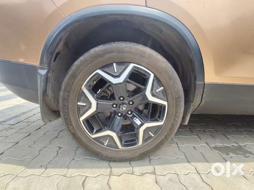 Tata Safari, 2024, Diesel
