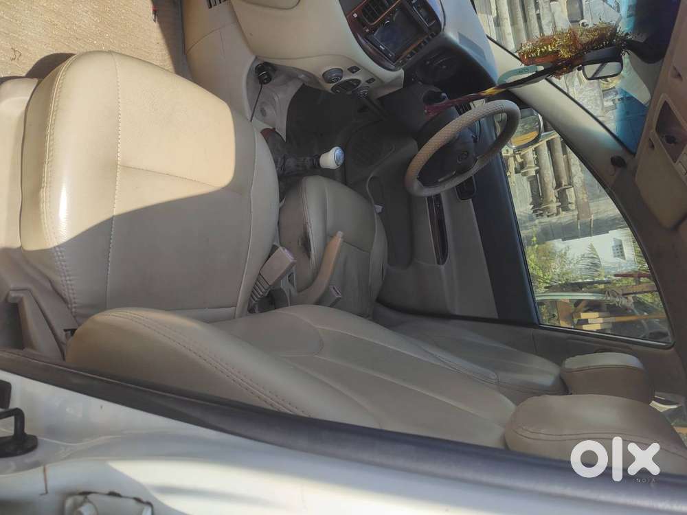 All Peppers Renewal Good Condition