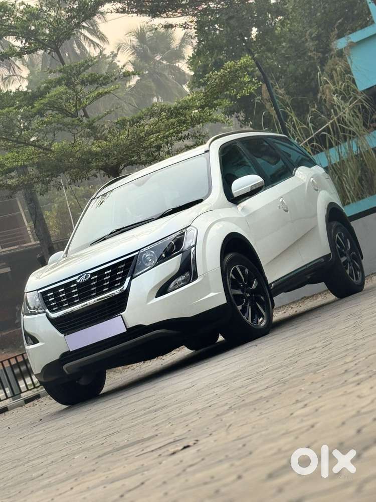 Mahindra Xuv500 W11 Option At Awd, 2019, Diesel