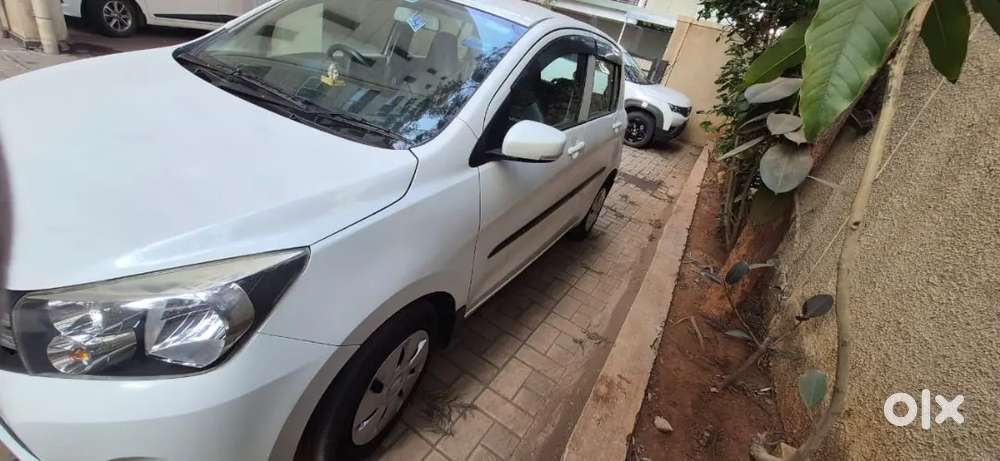 Maruti Suzuki Celerio 2017 Petrol Well Maintained