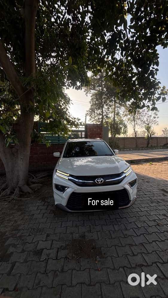 Toyota Hybrid Car 2024