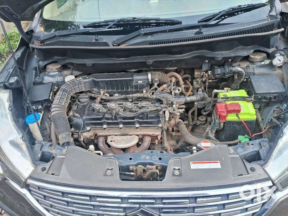 Vxi Cng + Petrol