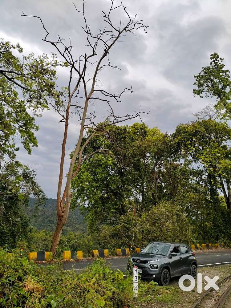 Tata Punch 2022 Petrol 23500 Km Driven