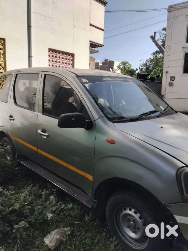 Xylo  For Sale