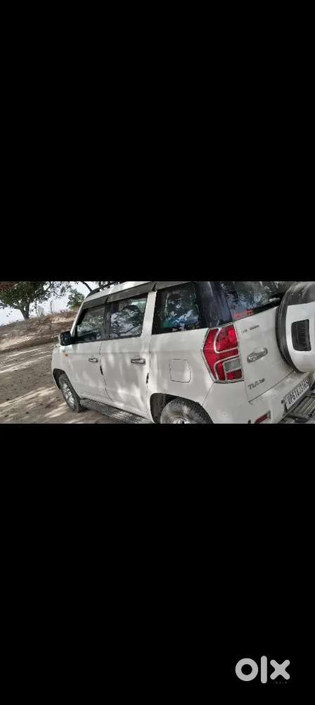 First Oner Fress Condition