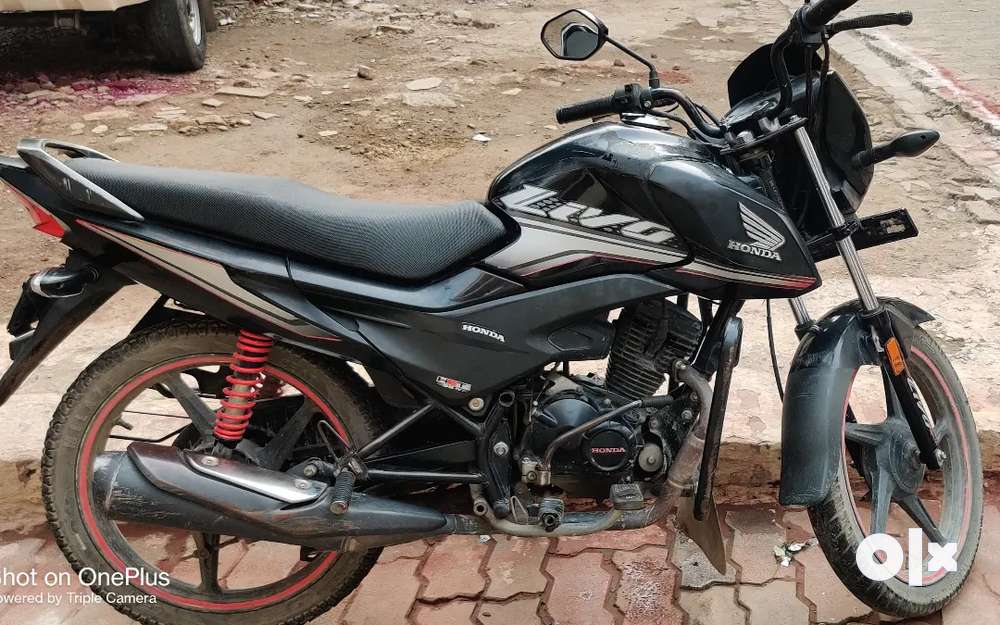 Honda best sale livo 2019