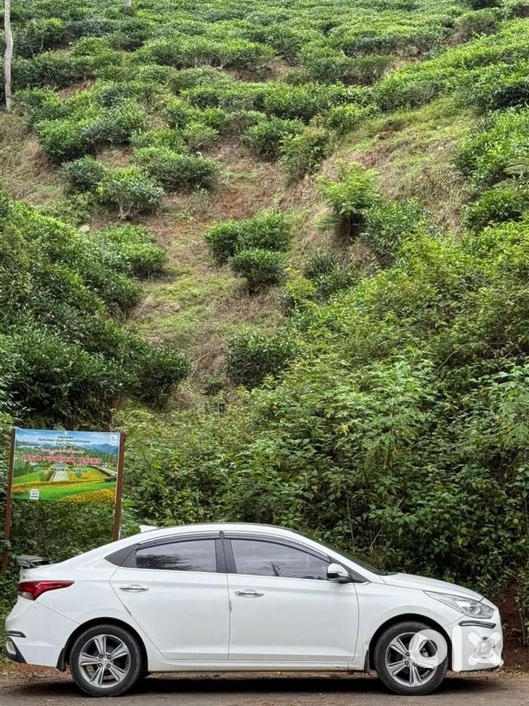 Used Hyundai 2019 Car