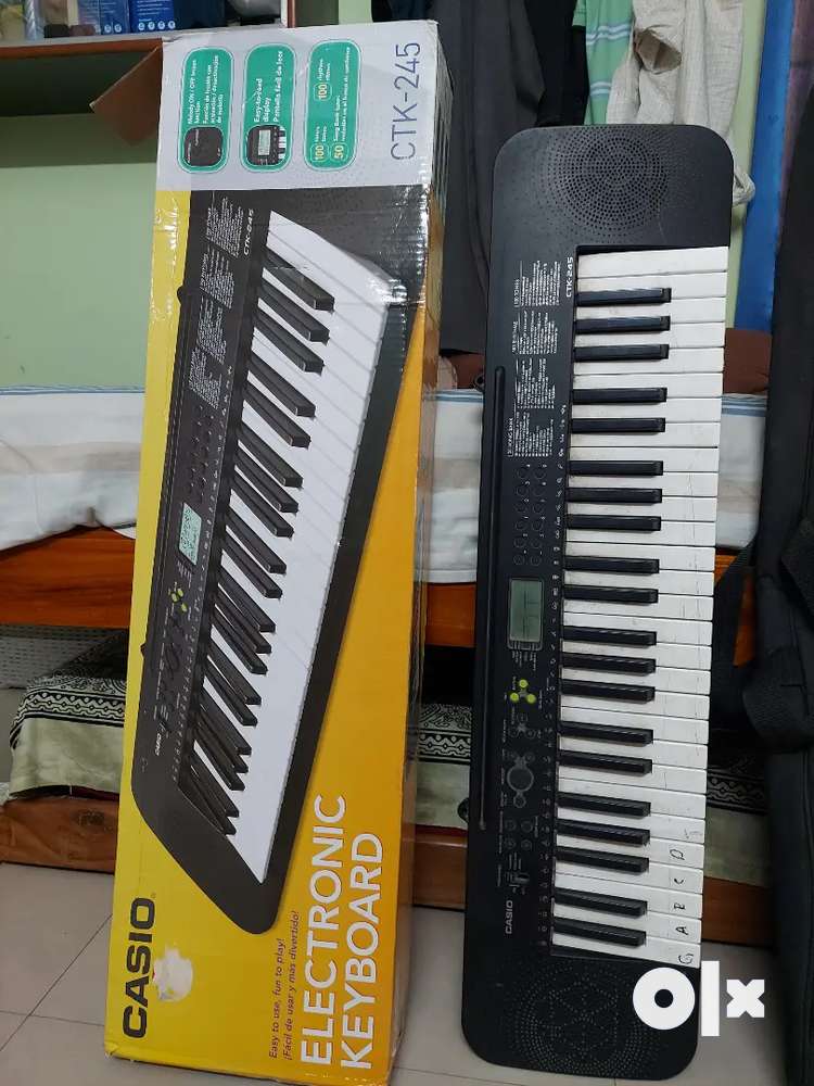 CASIO CTK 245. Musical Instruments 1763124922