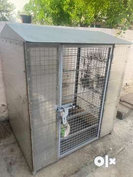 Dog cage 2024 online olx