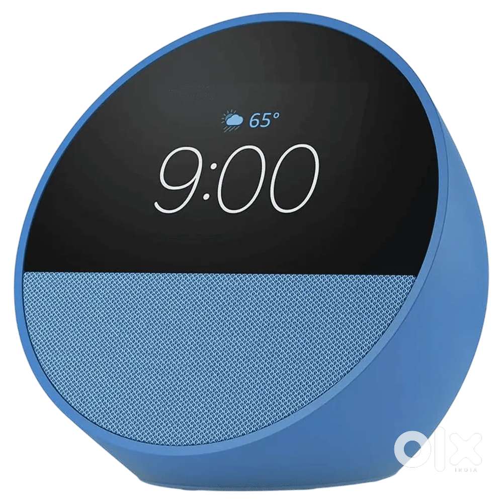 Alexa Echo spot