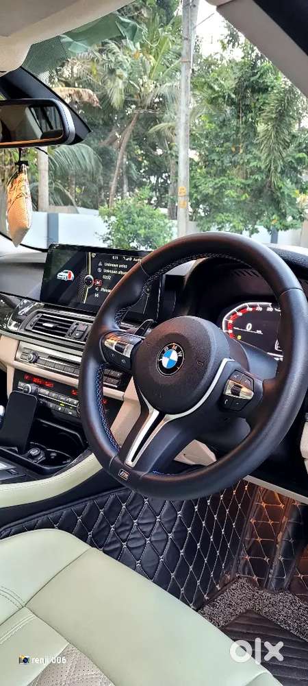 Bmw 5 Series Luxury 2011