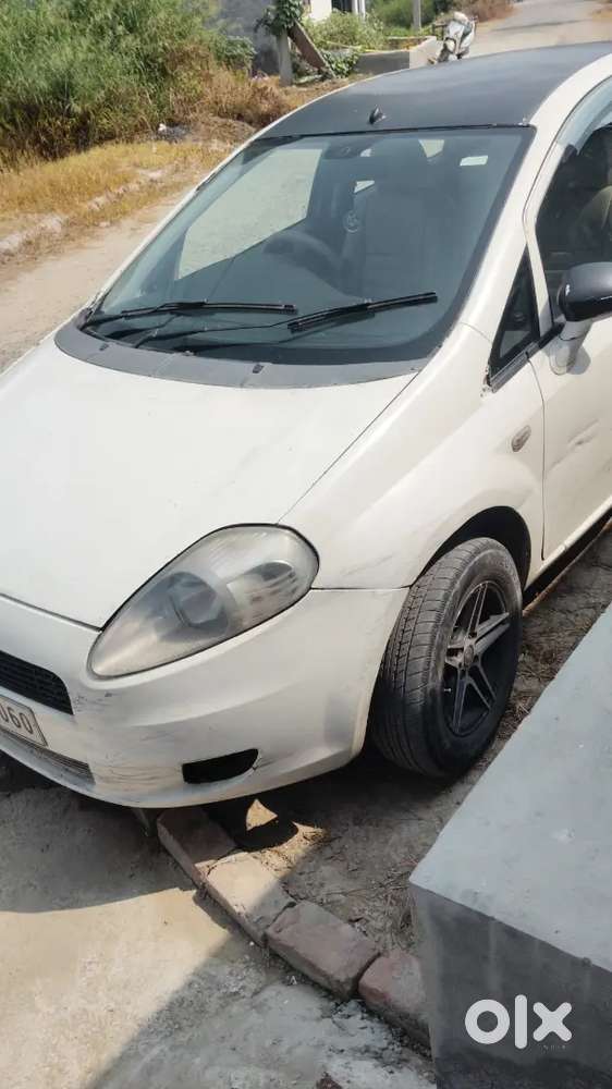 Fiat Punto Dynamic 2012 Car