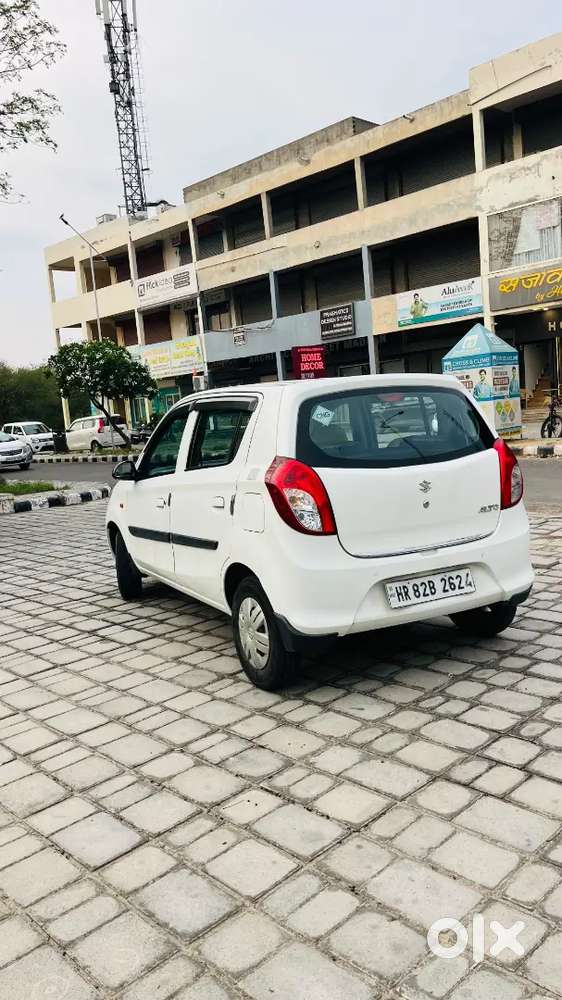 2022 Cng Company  Alto 800