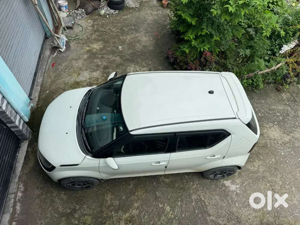 Maruti Suzuki Ignis 2019 1.2 Petrol
