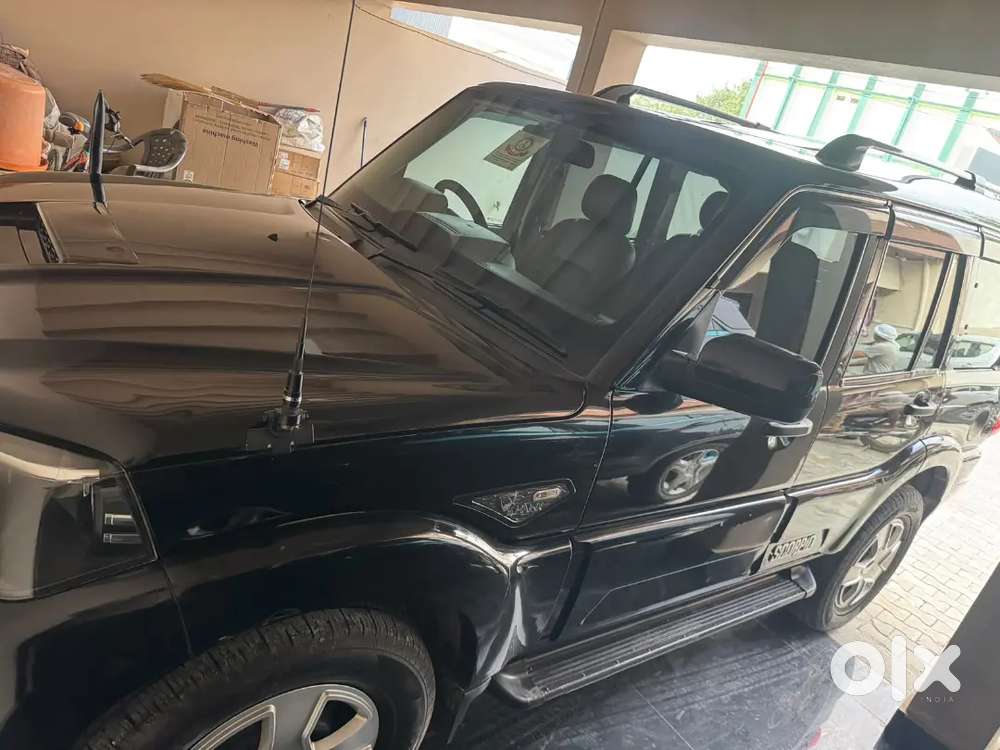 Very Neat And Clean Condition Car Less Driven Less Used Alok Ppf Done