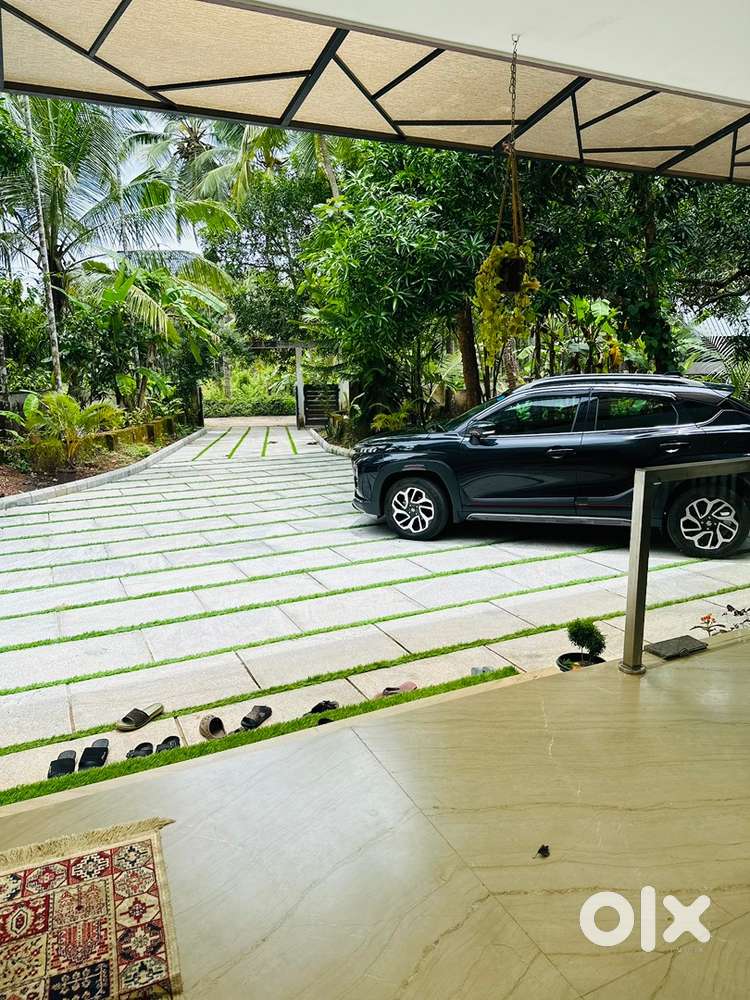 Maruti Fronx Petrol 2024