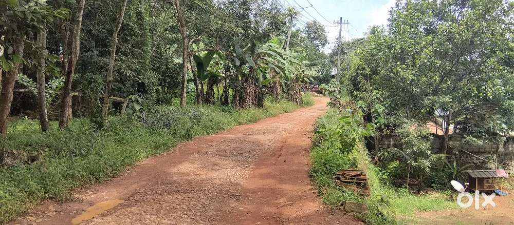 20 സെന്റിൽ വീടും റബ്ബർ മരങ്ങളും വില്പനക്ക്