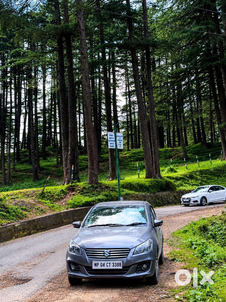 2017 Maruti Suzuki Ciaz
