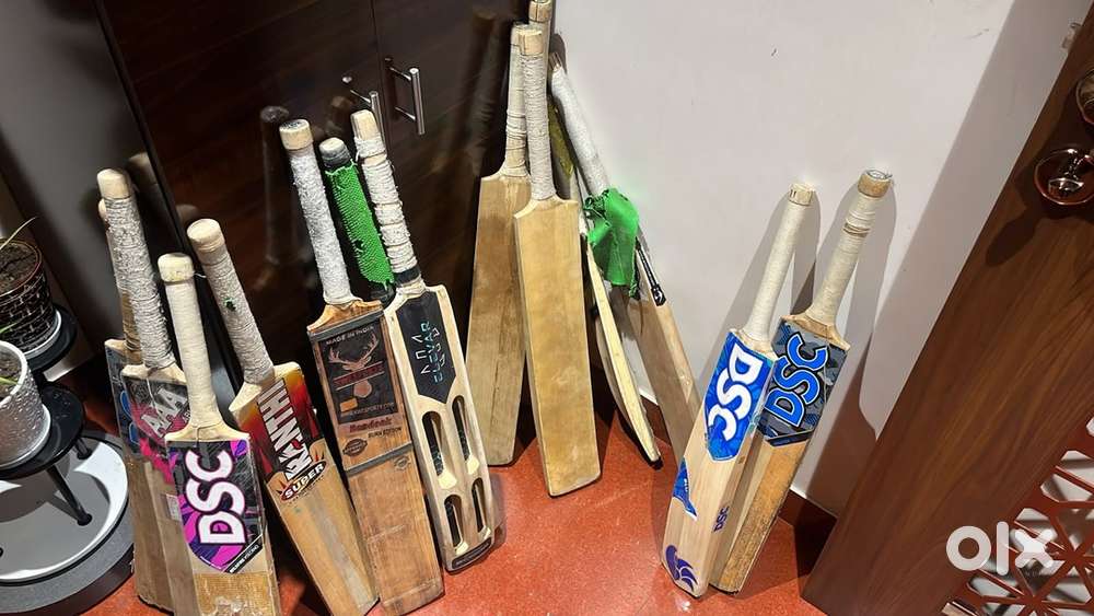 Cricket bat