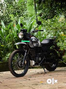 Olx himalayan online bike