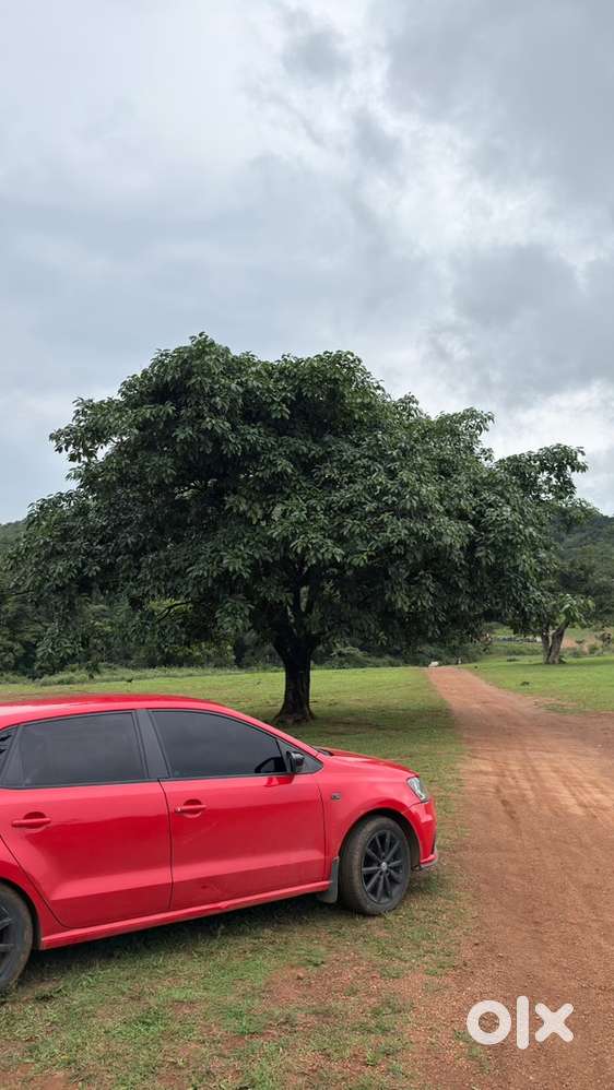 Volkswagen Polo Gt Tdi 2015 Diesel Well Maintained