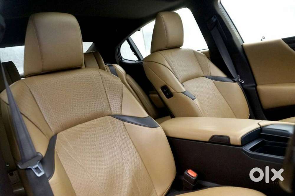 Lexus Es 300h Luxury, 2019, Petrol