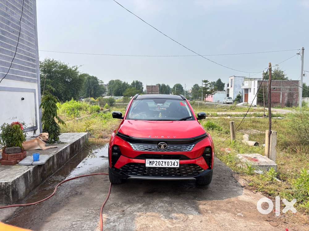 Tata Curvv Diesel 2025 Second Top Model With All Features