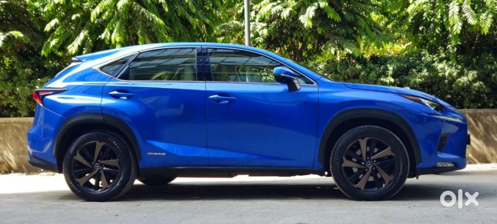 Lexus Nx Lexus-nx-300h-luxury, 2018, Petrol