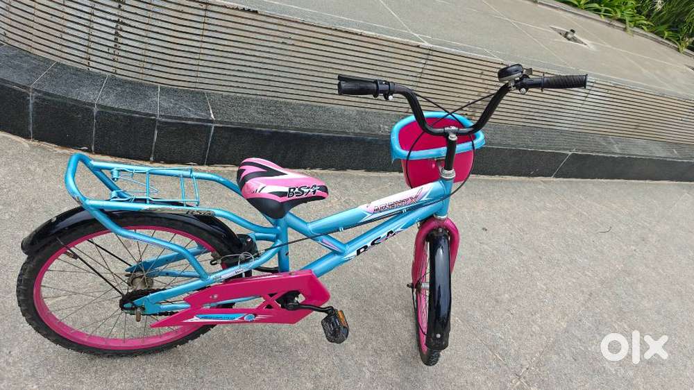 Bsa Kids Bicycle Price BSA Premium Champ Kids Ranger Bike Carrier