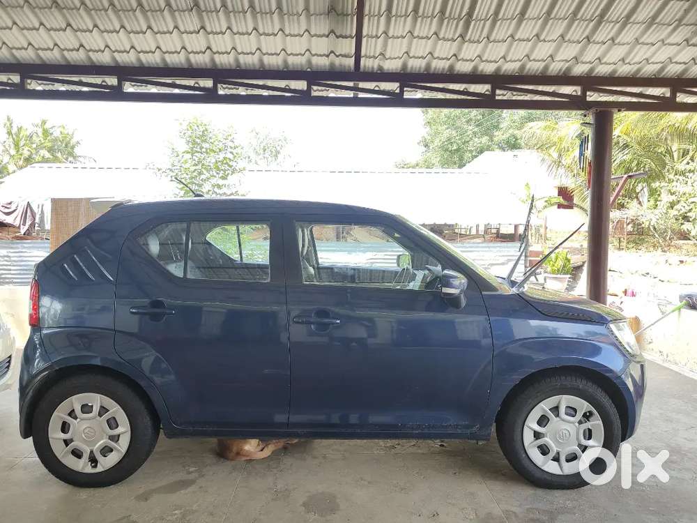 Maruti Suzuki Ignis 2019 Petrol 81300 Km Driven