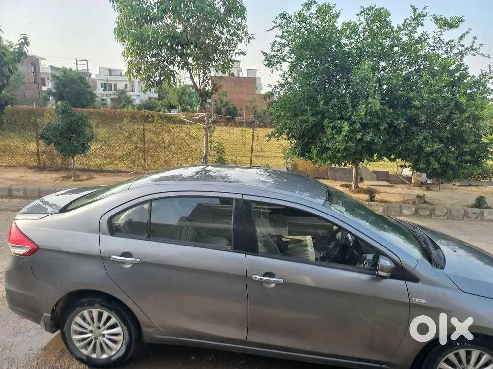Maruti Suzuki Ciaz 2016 Diesel Good Condition