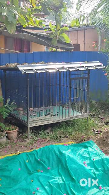 Dog cage for sale. One year old