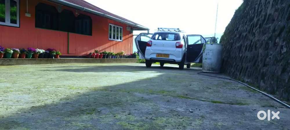 Maruti Suzuki Alto 2024