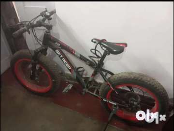 Skyrider deals fat bike