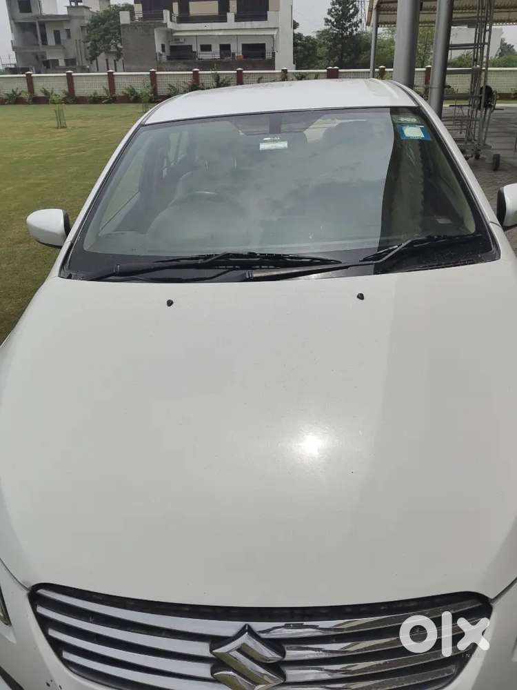 Maruti Suzuki Ciaz Zdi 2015 Diesel
