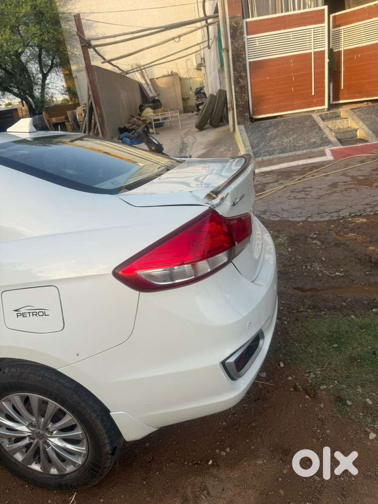 Maruti Suzuki Petrol 2023