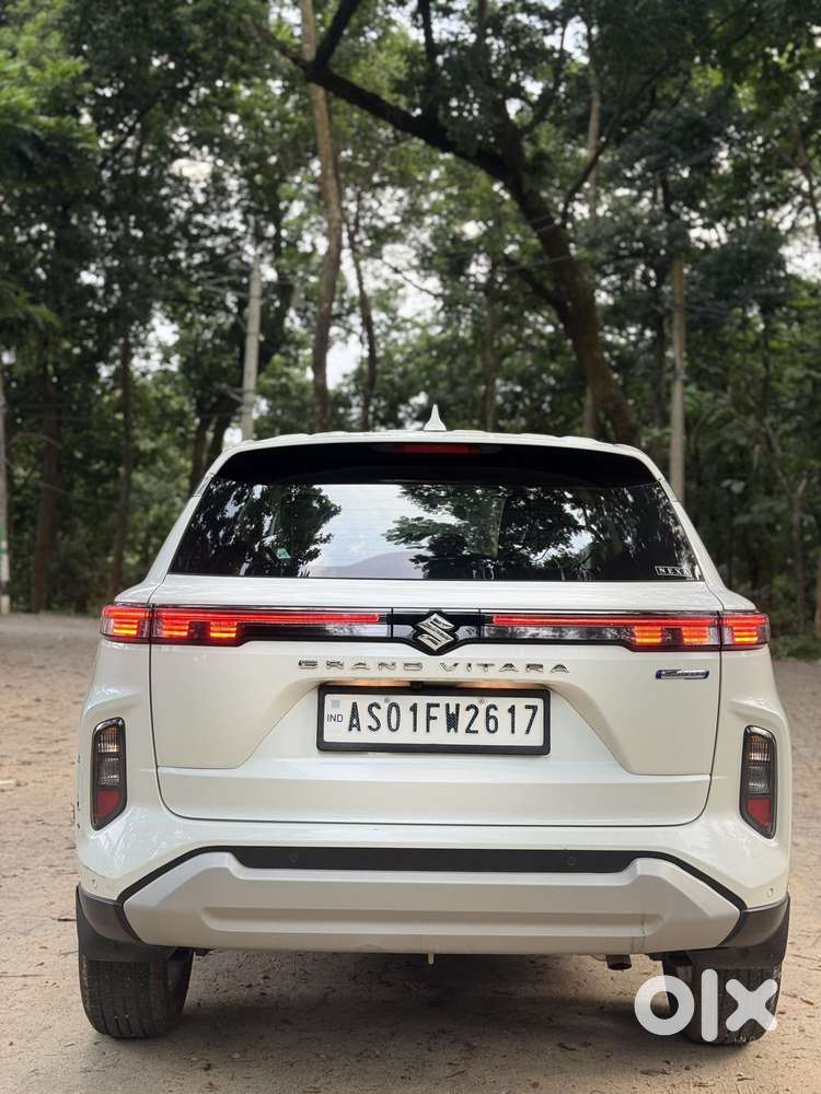 Maruti Suzuki Grand Vitara 1.5 Delta Smart Hybrid, 2024, Petrol