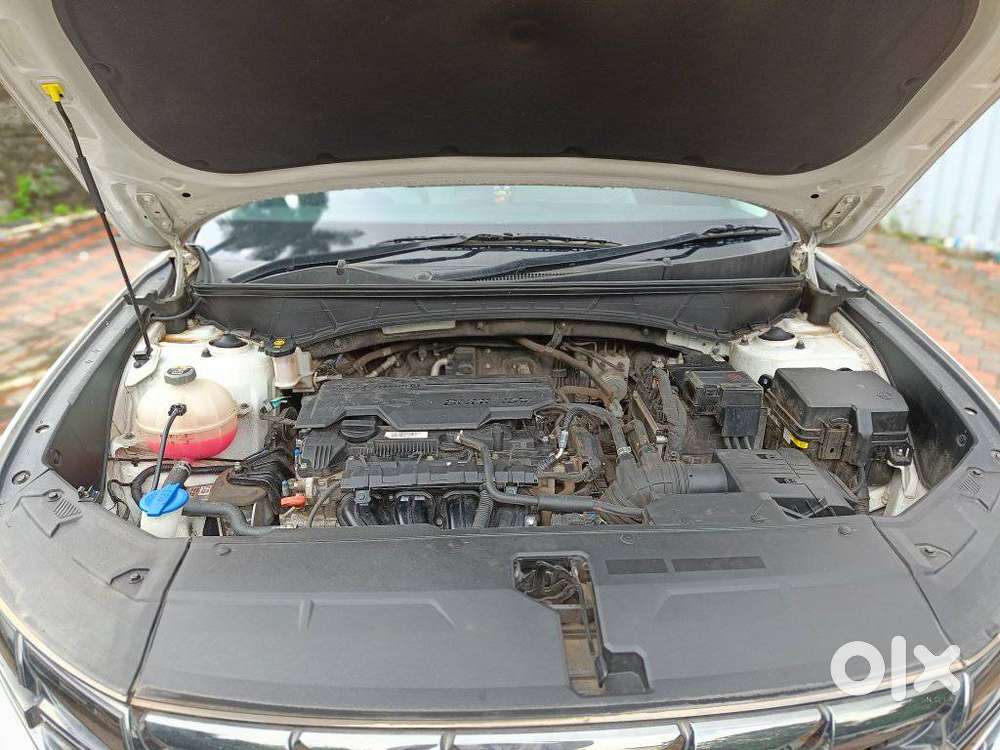 Hyundai Tucson 2.0 Platinum Petrol At, 2024, Petrol