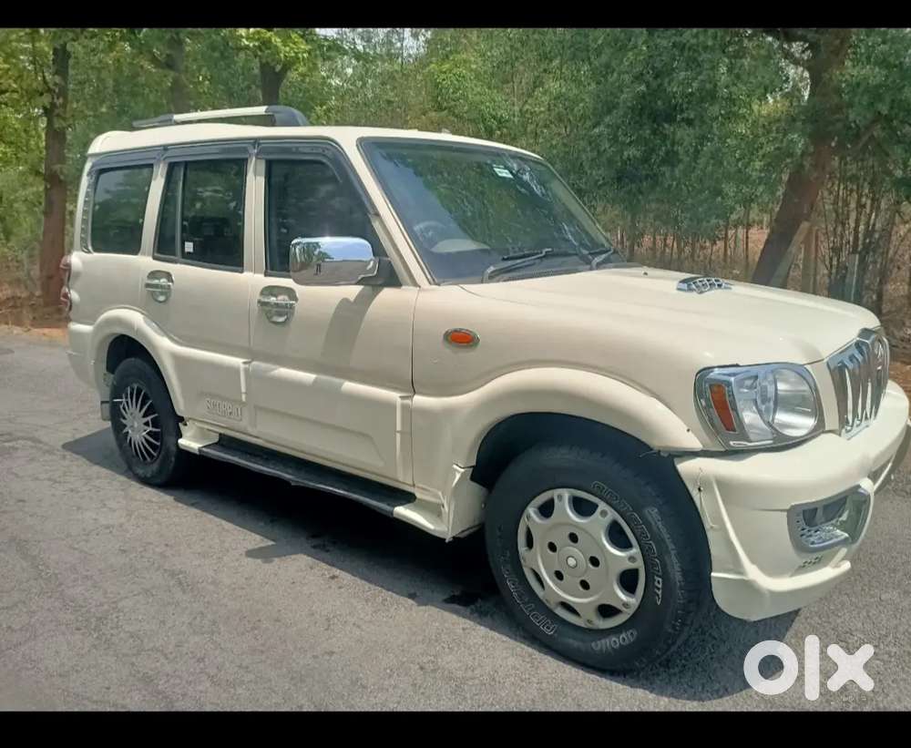 Scorpion New Condition