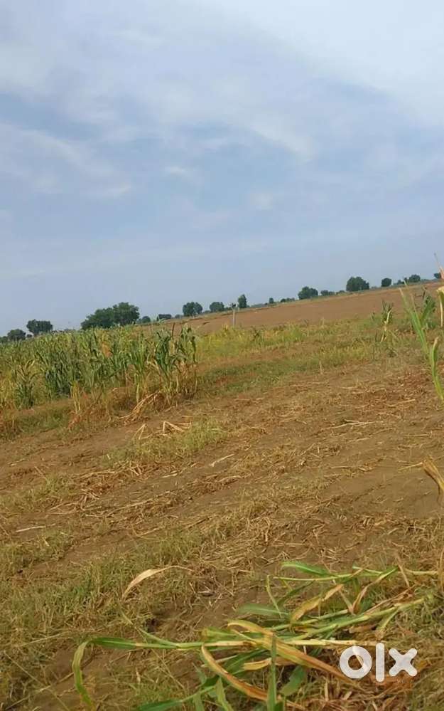 I want to sell my agriculture land near by Surendranagar